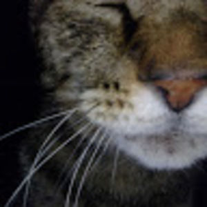 Meet your Posher, Madeline